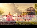 Пение тибетских монахов. Очистка биополя и пространства.