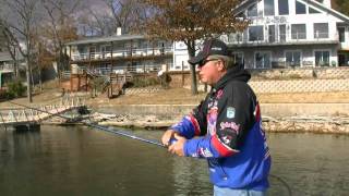 Wired2Fish Presents: Denny Brauer and Why do they live there?