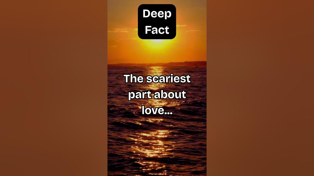 Mind Blowing Halococo Facts You Need To Know - t72eg96