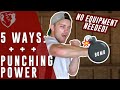 Develop Punching Power (Without Equipment)