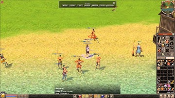 für den metin2 support