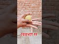 #cricket FF 65 #cricket viral short malinga #boling 🏏🏏🏏