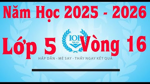 Đáp Án IOE Lớp 5 Vòng 16 Năm Học 2025-2026