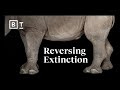 We can bring extinct species back from the dead | Big Think
