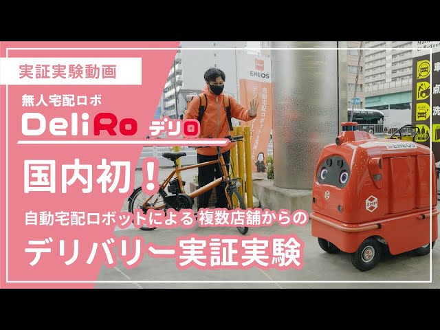 ヘルボロフ　プロモ　匿名配送 2025年最新】ヘルボロフ プロモの人気アイテム - メルカリ