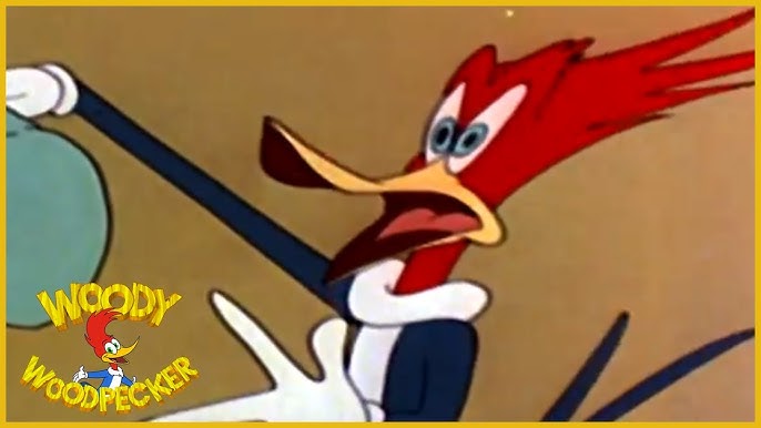 Woody Woodpecker classic | Coo Coo Bird | Woody Woodpecker Full Episode |  Kids Movies | Old Cartoons - YouTube