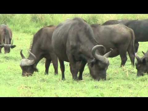 videoclip quanto 6 bella