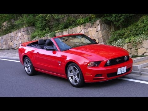 ◆BITTER CELLS◆Cabin Mustang 韓国人気 ☆韓国の人気☆【BITTER CELLS】☆Cabin Mustan.g☆