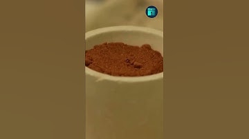 Tách vàng và kim loại quý từ rác thải điện tử | VTC1