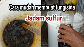 Cara mudah membuat fungisida JADAM SULFUR