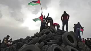 انشودة يلا نمشي على فلسطين