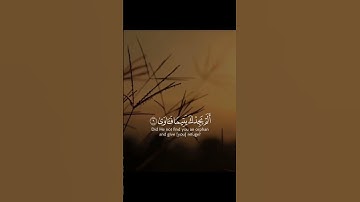 سورة الضحى بصوت ابني فريد عبد الرحمن مغربي
