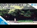 フライフィッシング入門#010フライキャスティングの練習⑥「ダブルホール」/Tiemco Fly Fishing JP/ティムコ フライフィッシング
