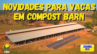 Novidades para vacas em Compost Barn