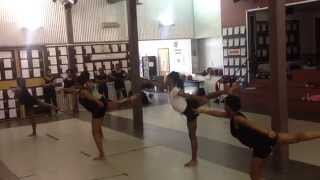 OrigiNation Cultural Arts Center 2014 Spring Dance Intensive