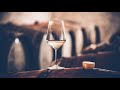 Science & Sense: A Spirited Discussion on Minerality in Wine