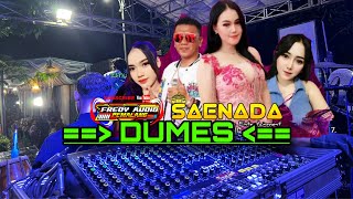 DUMES - FREDY AUDIO PEMALANG