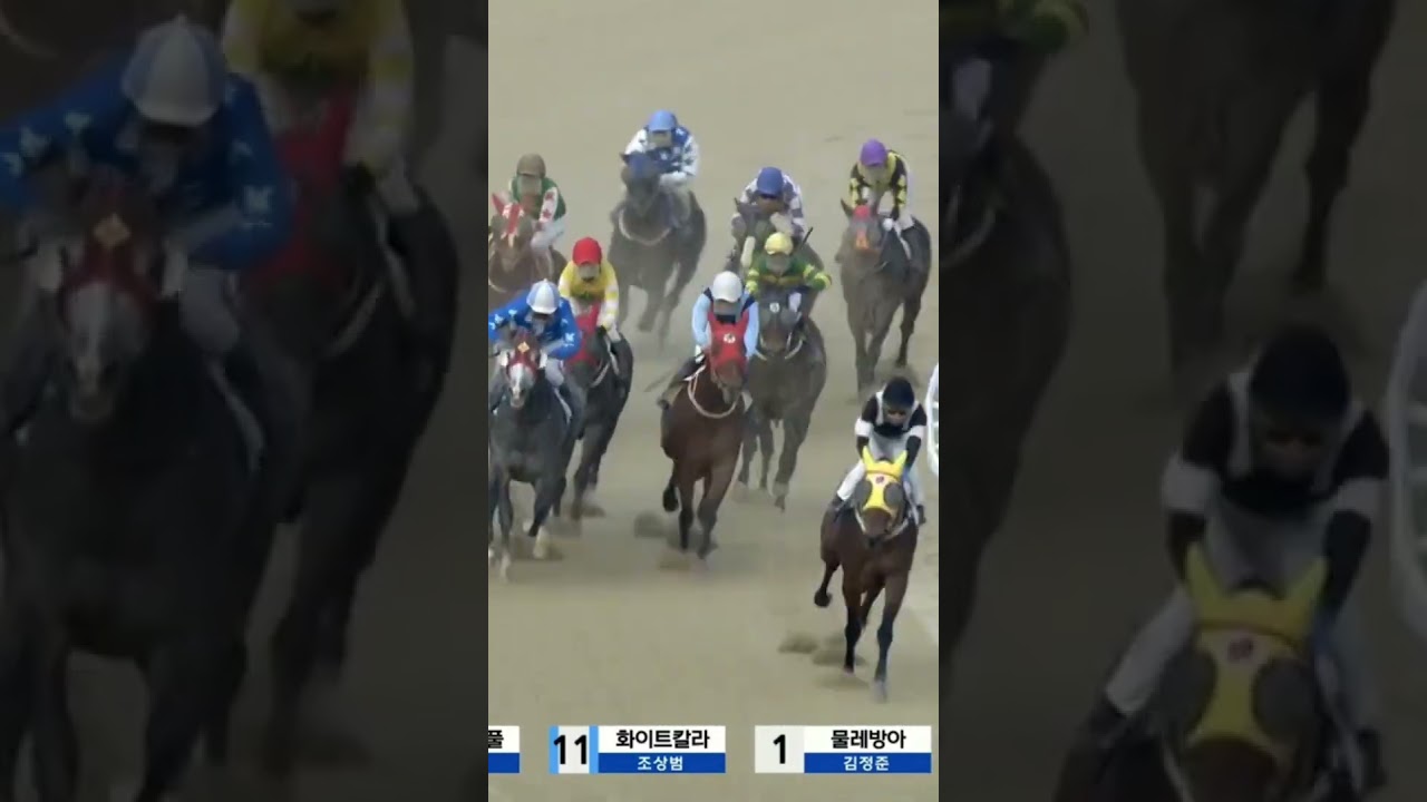 아깝다 단승먼저찍어야하는데 날렸네7은어디갔나