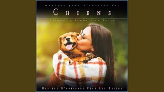 Musique pour L'anxiété des Chiens screenshot 5