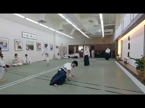 Ukemi 20 Throws