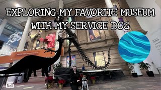 Taking My Service Dog To A Museum!