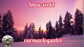 Frost in Jan  When Moraine Beautiful winter Snow Forest Sun Winter in the Evening at Sunset. Snow, 