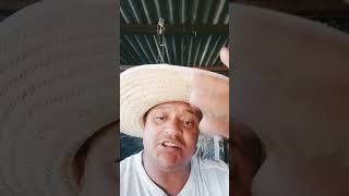 Torcida Preconceituosa? #shortsyoutube #loucosporfutebol #spfc #saopaulofc