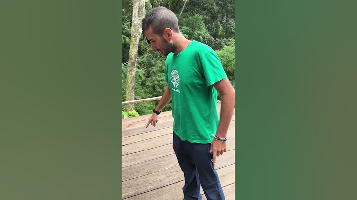Litigo con un'ape nella giungla in #cambogia
