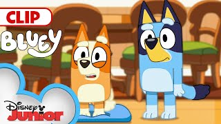 Bluey Season 3 Episode 12 \\