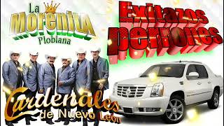 exitazos 👉los cardenales de nuevo leon by La morenita poblana 6,976 views 1 year ago 22 minutes