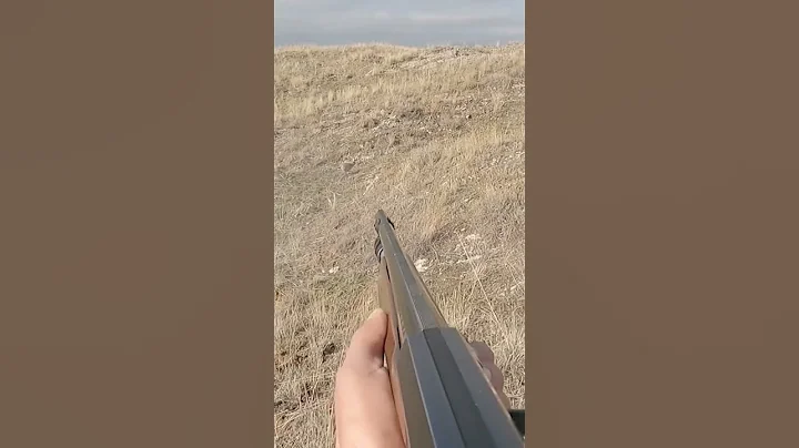 Tavşan Avı Net Vuruş #tavşanavı