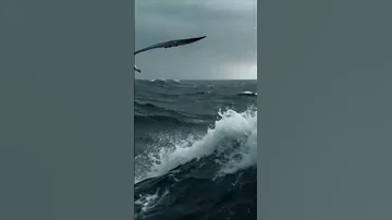 اقوى الافلام الاجنبيه التاريخه 2025 افلام 