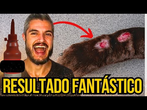 Vídeo: A insuficiência renal em gatos é dolorosa?