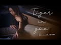 Stephanie 何雁詩 Tiger In You Official Music Video Stephanie 何雁詩 Tiger In You Official Music Video
