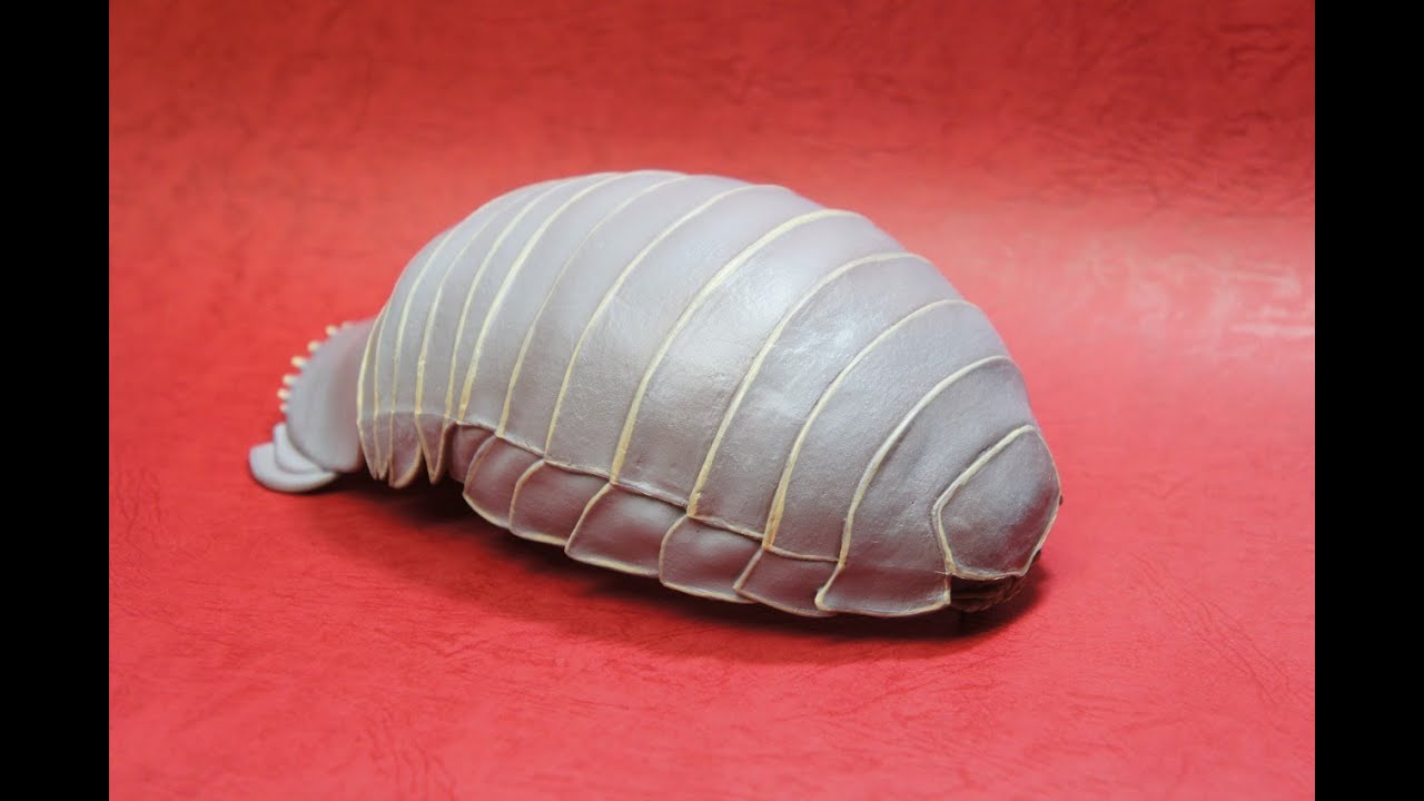 レザークラフト ダイオウグソクムシ 作ってみた Youtube