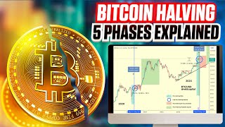 5 Phases of the Bitcoin Halving - Ultimate Guide For 2024