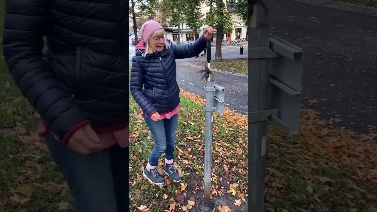 😨 What’s scarier, spiders or DNFs? 🕷️ 