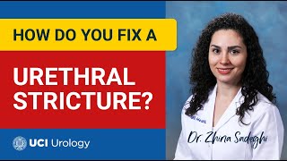 How Do You Fix a Urethral Stricture by Dr Zhina Sadeghi - UC Irvine Department of Urology