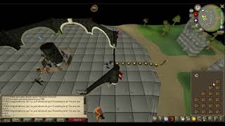 OSRS Firemaking Basics