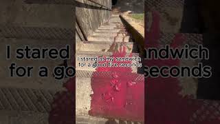 Remote Control Mix-Up Gone Wrong Laugh-Out-Loud Moments