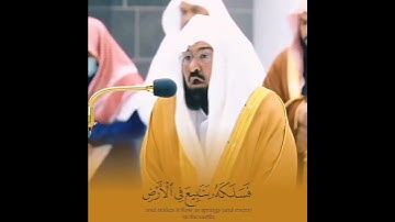 تلاوة هادئة جميلة جدا 🤍🥺تذهب عنك الحزن 🤍🥺قران كريم بصوت جميل جدا