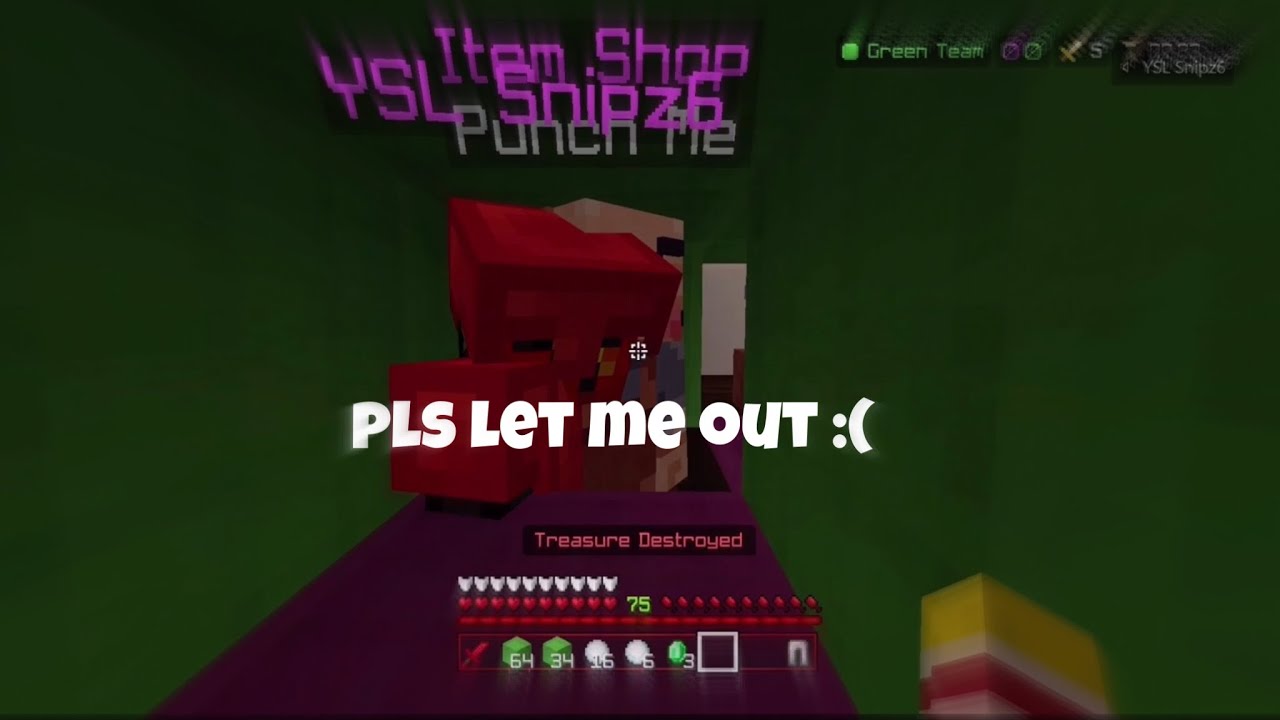 treasure wars players make good pets.. (we vcd he was mad..) YouTube