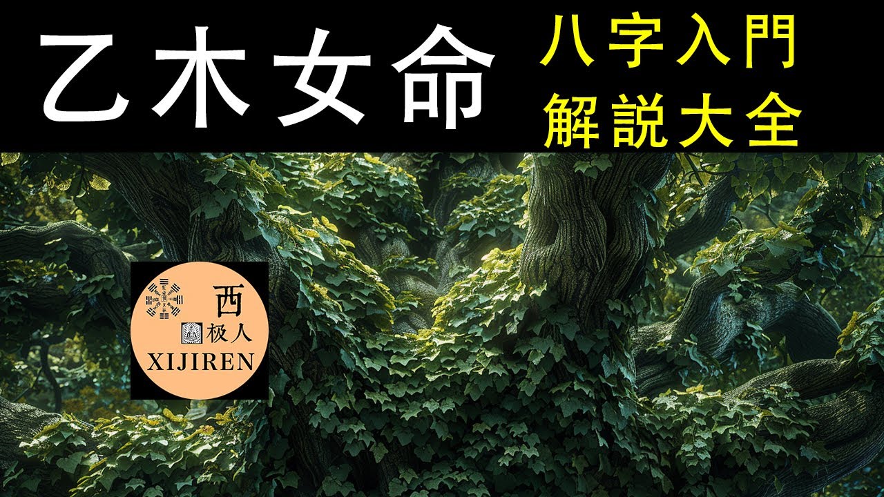 深度揭秘：五行乙木女命格之谜，八字学天干全方位详解，解读乙木女性的独特魅力与命运走向！
