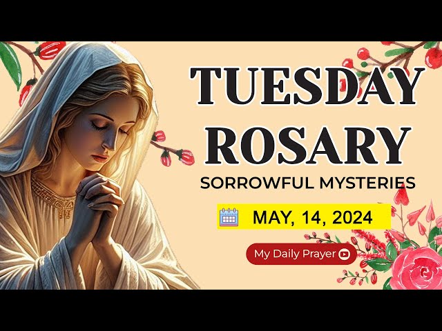 ROSARY TUESDAY: SORROWFUL MYSTERIES 🟡 MAY 14 2024🌹ROSARY PRAYER AND ENCOUNTER WITH CHRIST class=