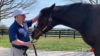 Rachel Alexandra: It's a Wonderful Life