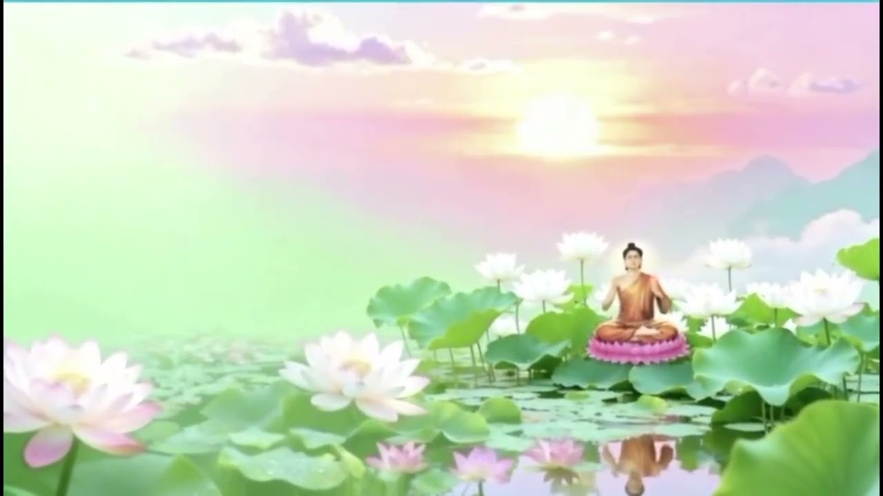 Âm Thanh Thiền Tĩnh Tâm | Gột Rửa Phiền Não