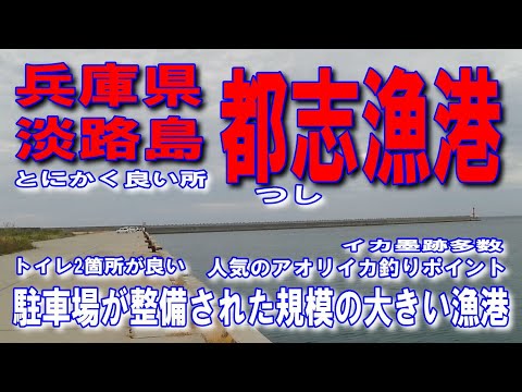 #116兵庫県淡路島都志漁港駐車場が整備された規模の大きい漁港人気のアオリイカ釣りポイントイカ墨跡多数車横付け釣り出来ます波止が低い安全ファミリー家族連れサビキ釣りに良い県道31号淡路サンセットライン