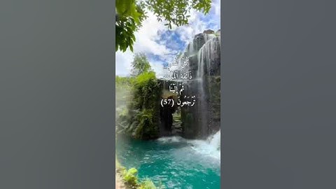 سورة العنكبوت Surah Al-Ankabut الآيات 56-58 #قرآن #راحة_نفسية #quranchapter #quransurah #قران_كريم