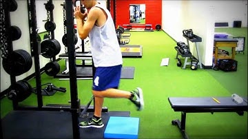 Knee Rehab - Split Squat w/ Vertical Tibia - Feat. Reb