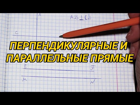 Перпендикулярные и параллельные прямые. Математика 6 класс